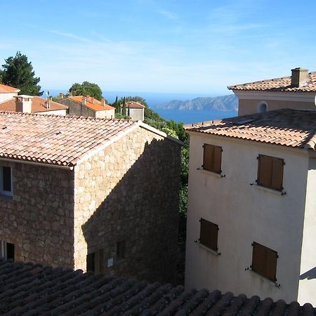 Maison D'Hotes San Pedru Piana  Εξωτερικό φωτογραφία
